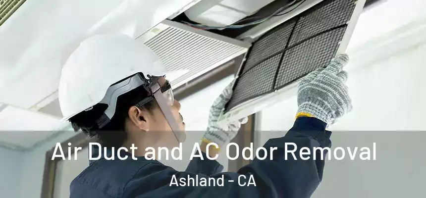 Air Duct and AC Odor Removal Ashland - CA