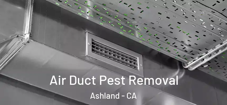  Air Duct Pest Removal Ashland - CA