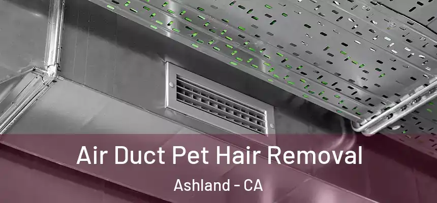  Air Duct Pet Hair Removal Ashland - CA