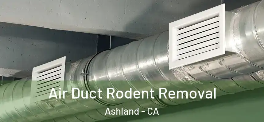  Air Duct Rodent Removal Ashland - CA