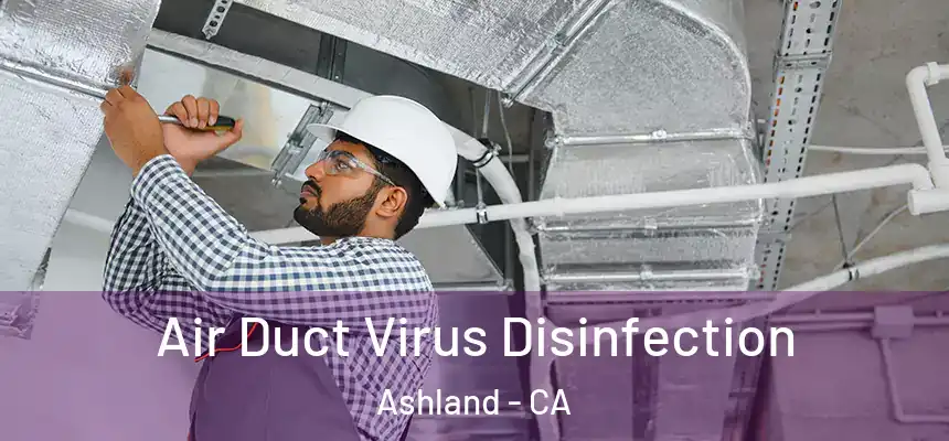 Air Duct Virus Disinfection Ashland - CA
