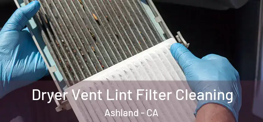  Dryer Vent Lint Filter Cleaning Ashland - CA