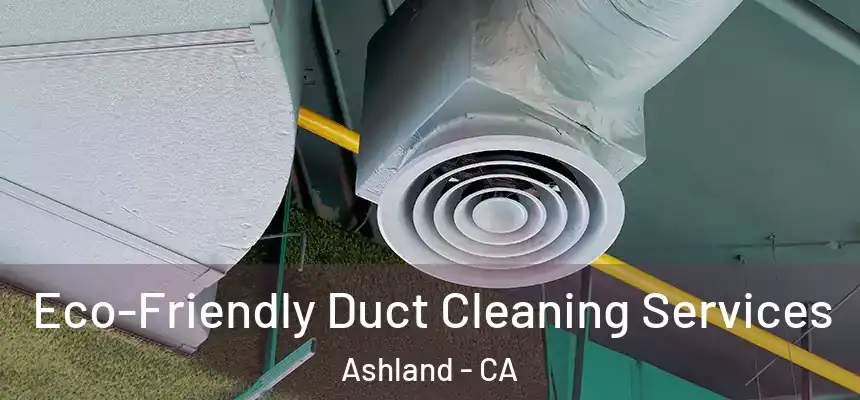  Eco-Friendly Duct Cleaning Services Ashland - CA