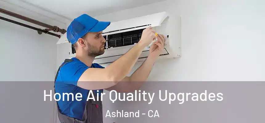 Home Air Quality Upgrades Ashland - CA