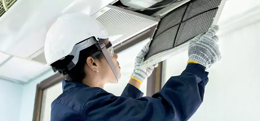 Our Mold & Mildew Removal from Air Ducts Services in Ashland, CA