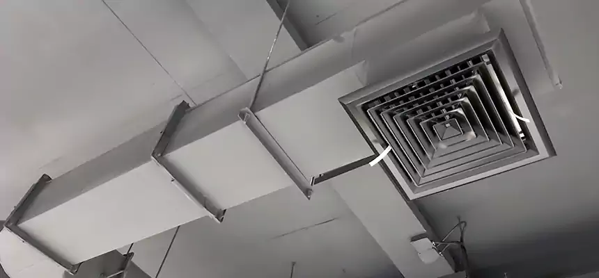 Our Pest Removal From Ducts Services in Ashland, CA