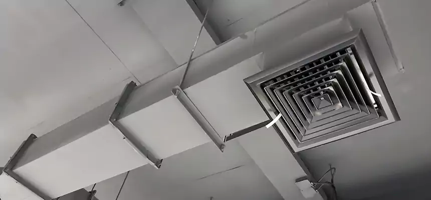 Our Rodent Droppings In Vents Services in Ashland, CA