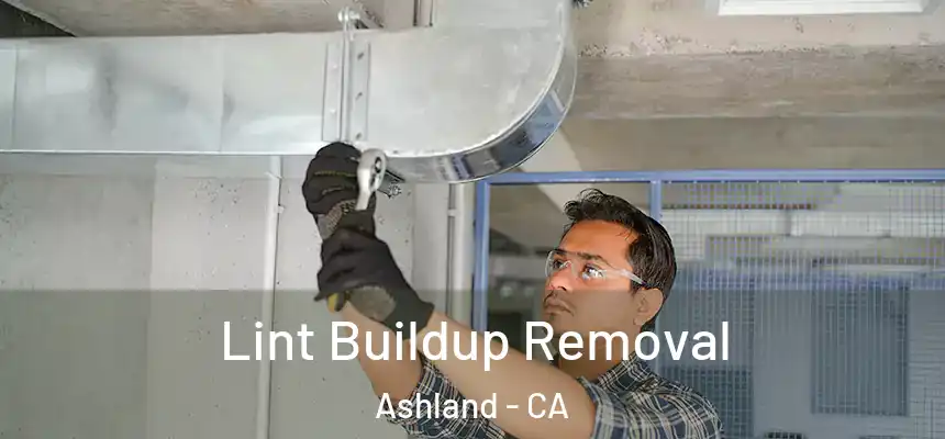  Lint Buildup Removal Ashland - CA