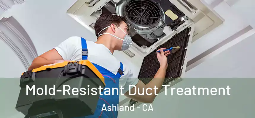  Mold-Resistant Duct Treatment Ashland - CA