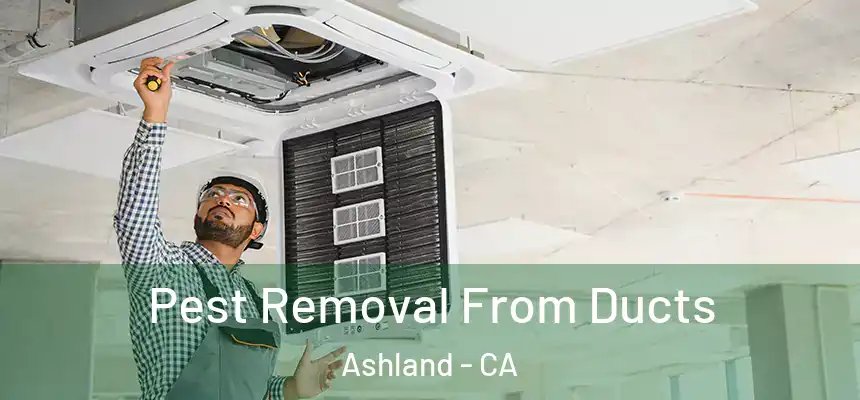 Pest Removal From Ducts Ashland - CA