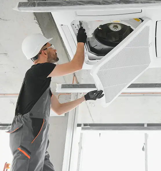 About Air Duct Rodent Removal in Ashland, CA