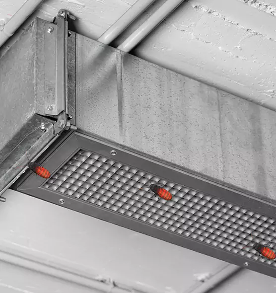 Affordable Insect Removal from Air Ducts in Ashland, CA